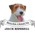 MagnaGraeciaJack