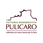 Pulicaro